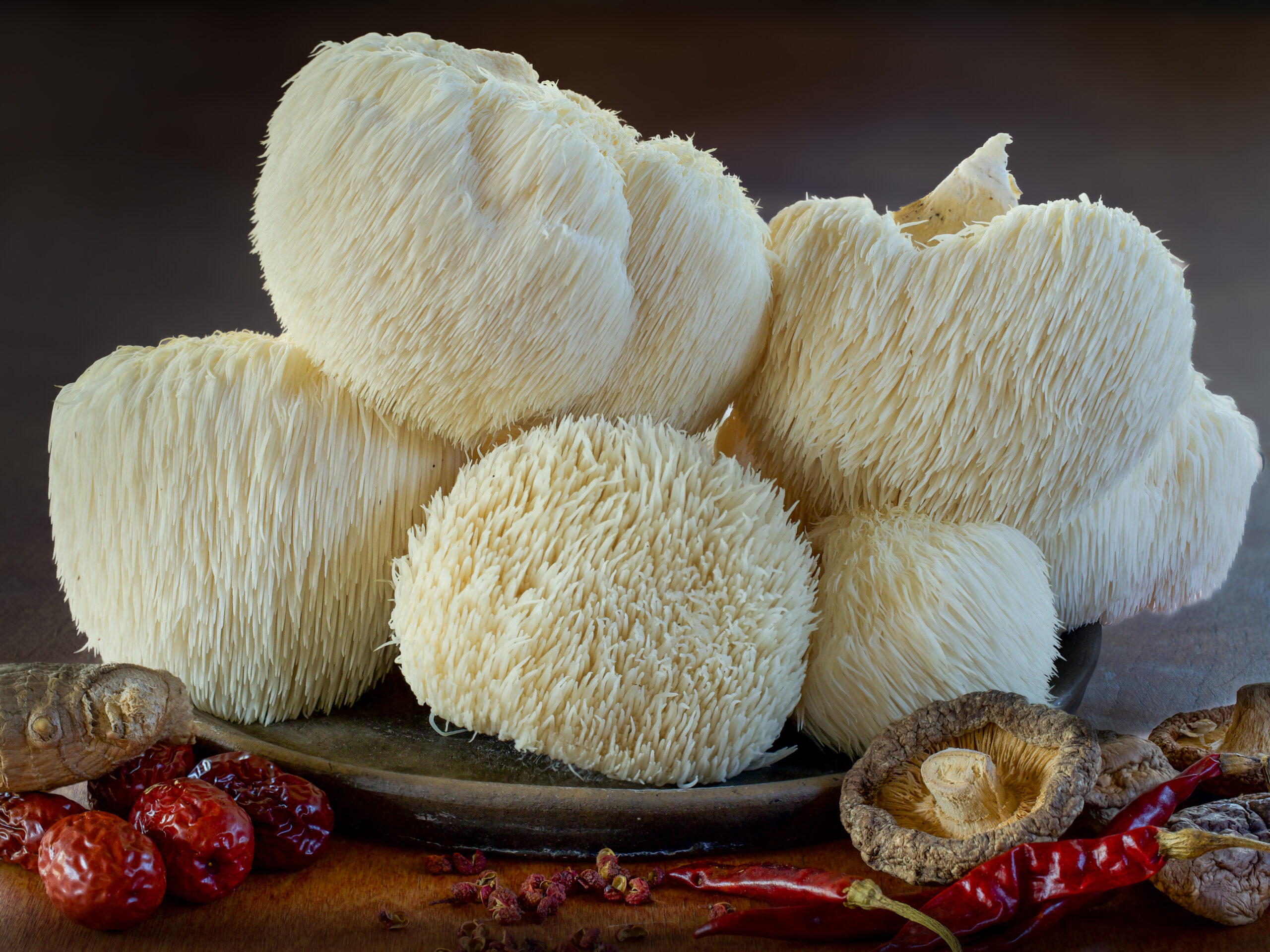 Lion's Mane mushroom cluster